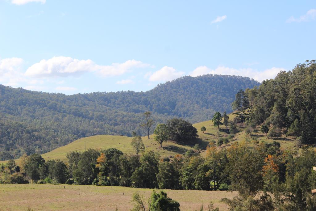 グリーンリー コテージ Canungra エクステリア 写真